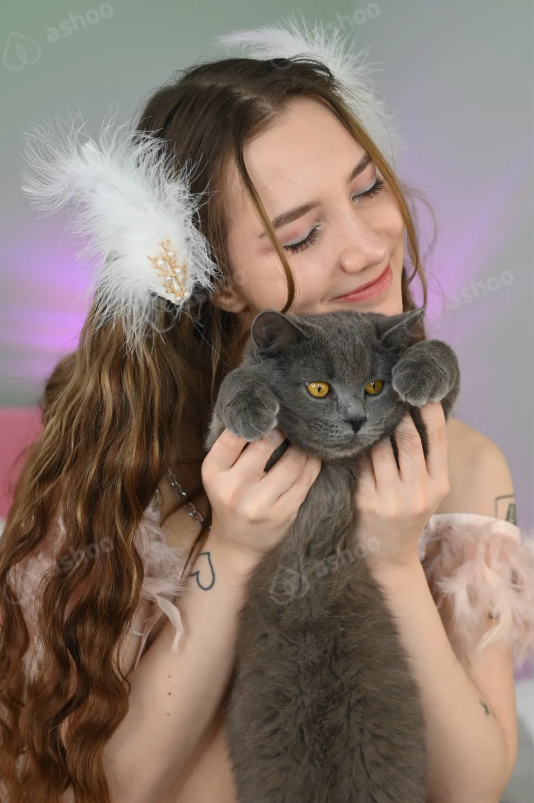 Ди спасает котиков и тебя 1