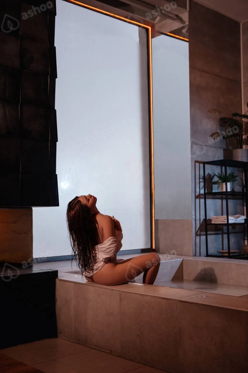 Ari 6