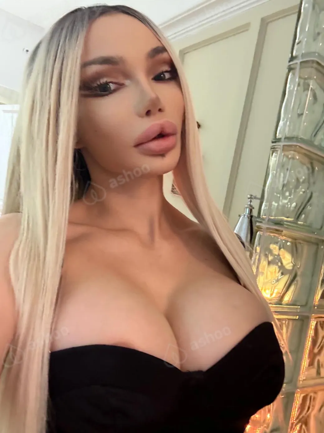Stella 20