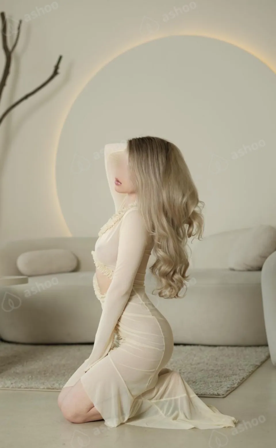 Ника 14