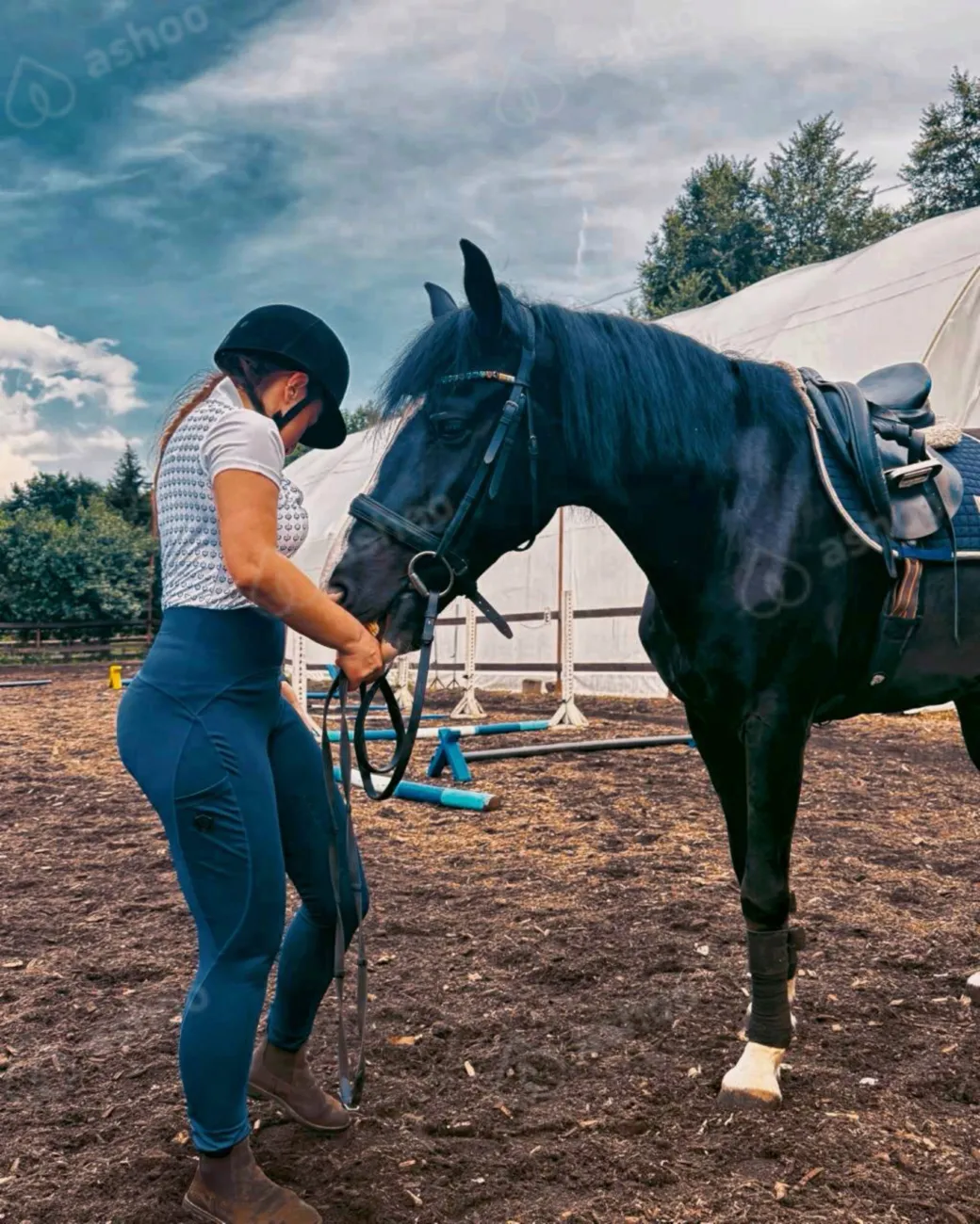 Регина ReginaWin 26