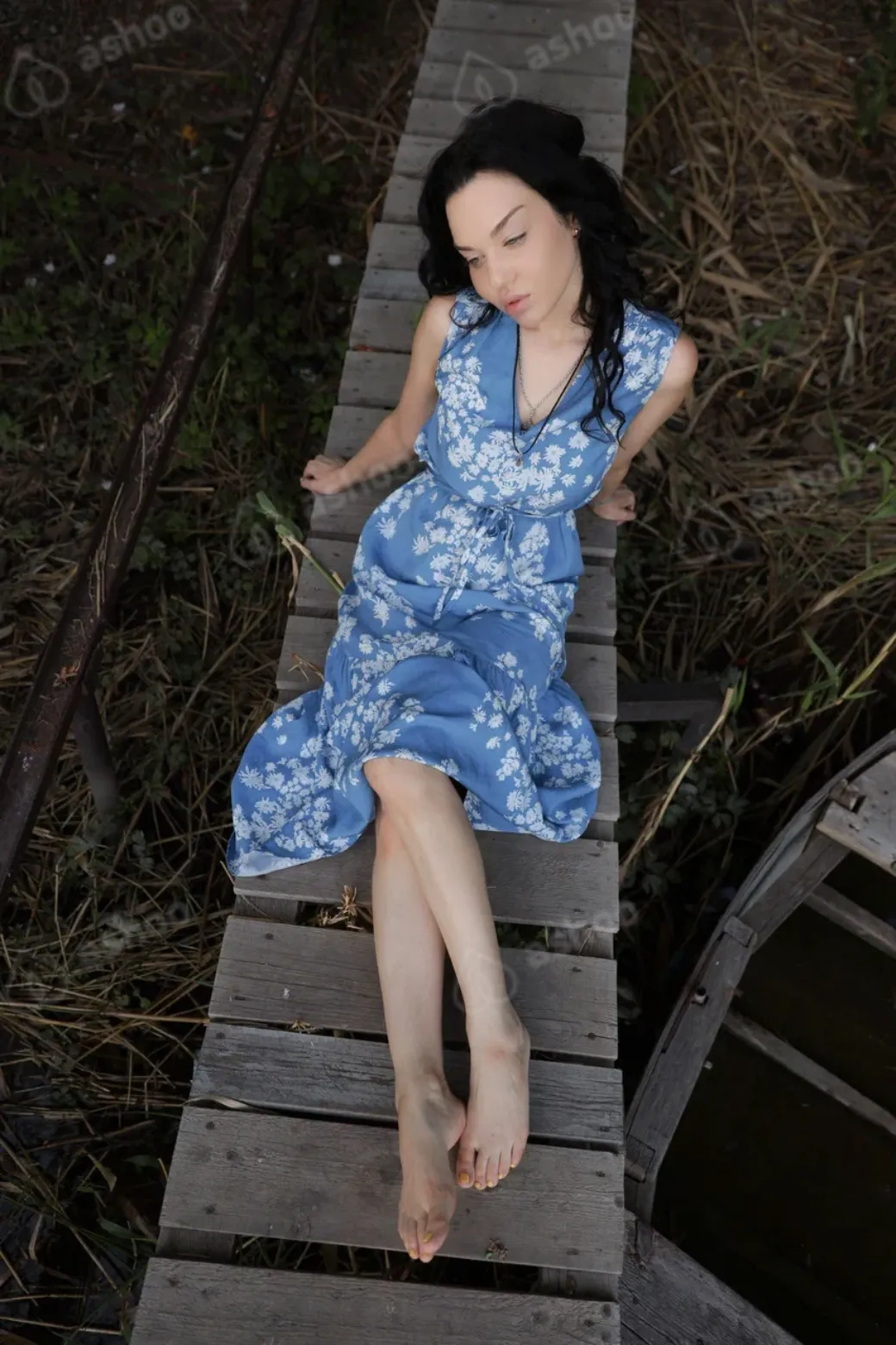 Xenia 18