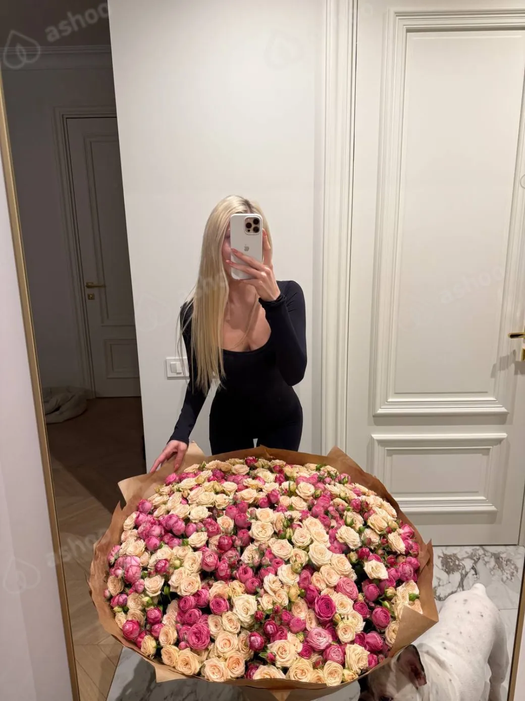 Алиса 21