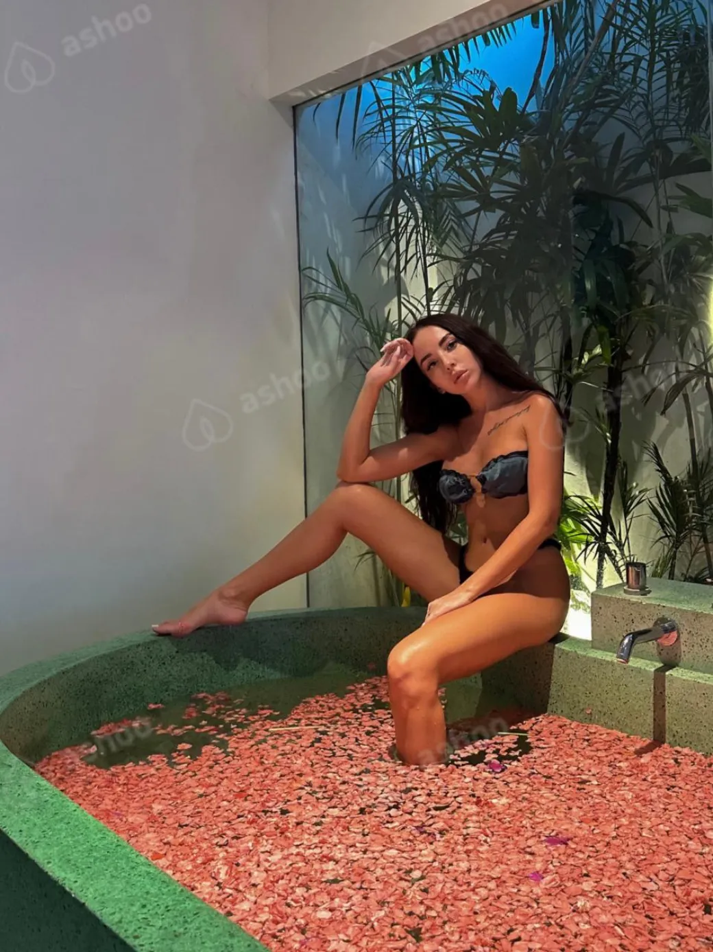 Lolita 5