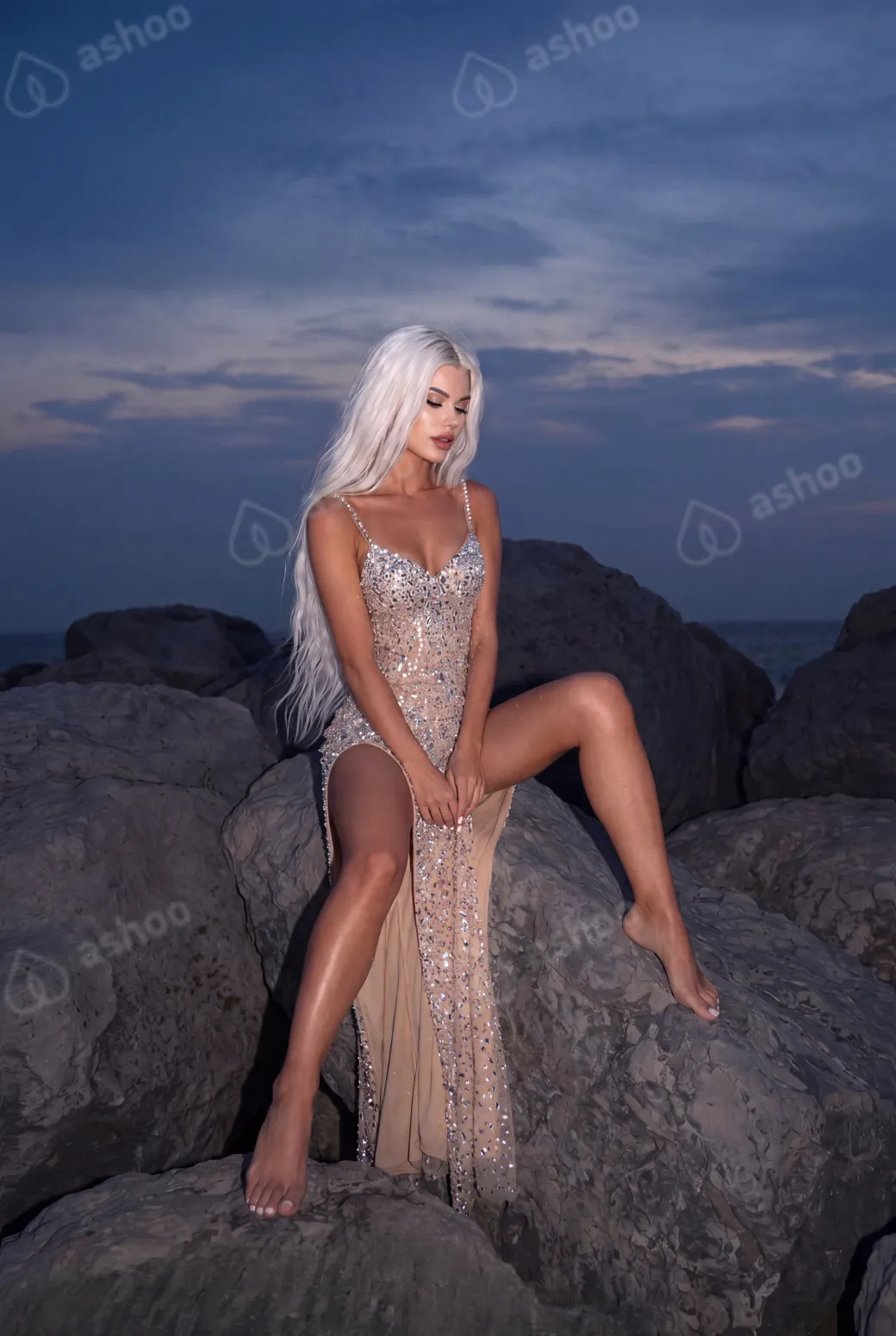 ANFISA RAI 7