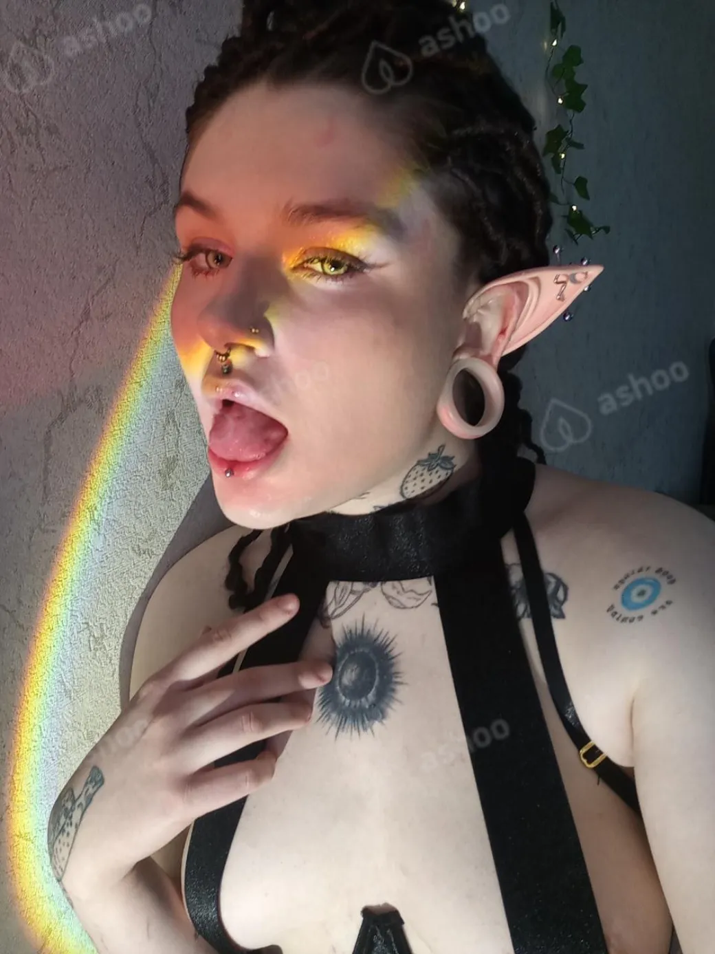 Альтушка Лолла 17
