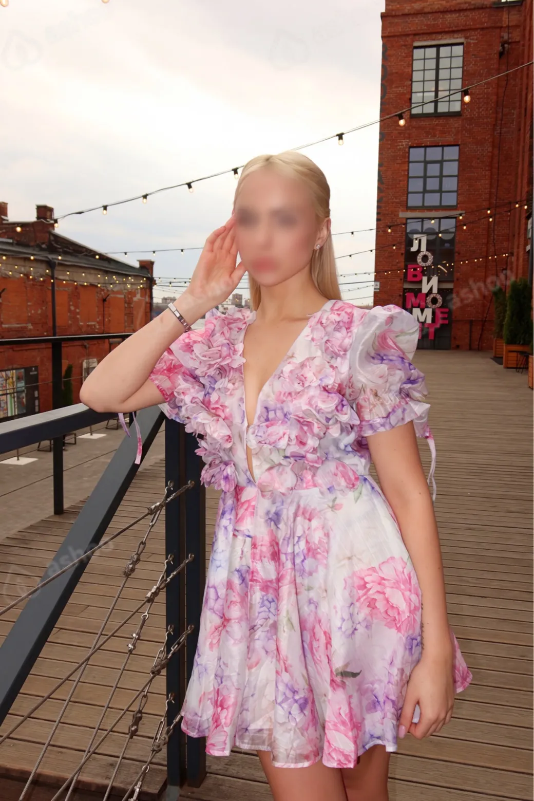 Арина 3