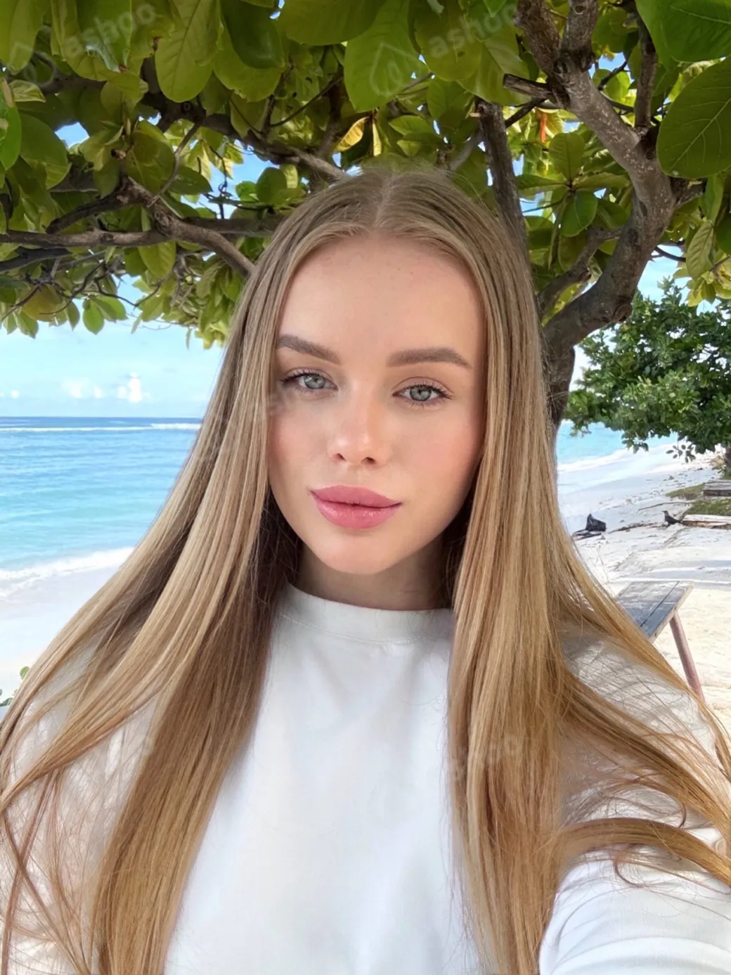 Лина 4