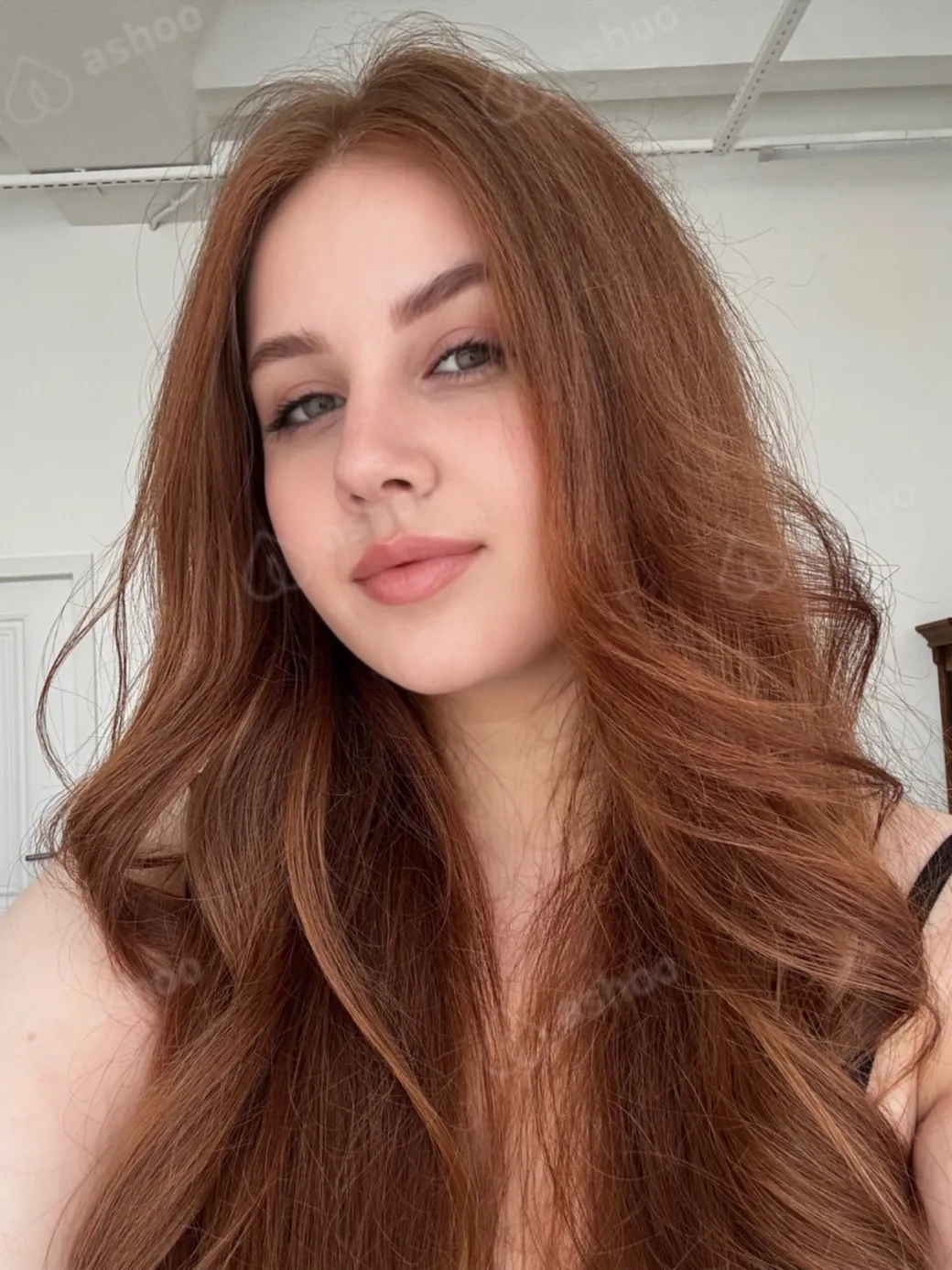 Алиса 11
