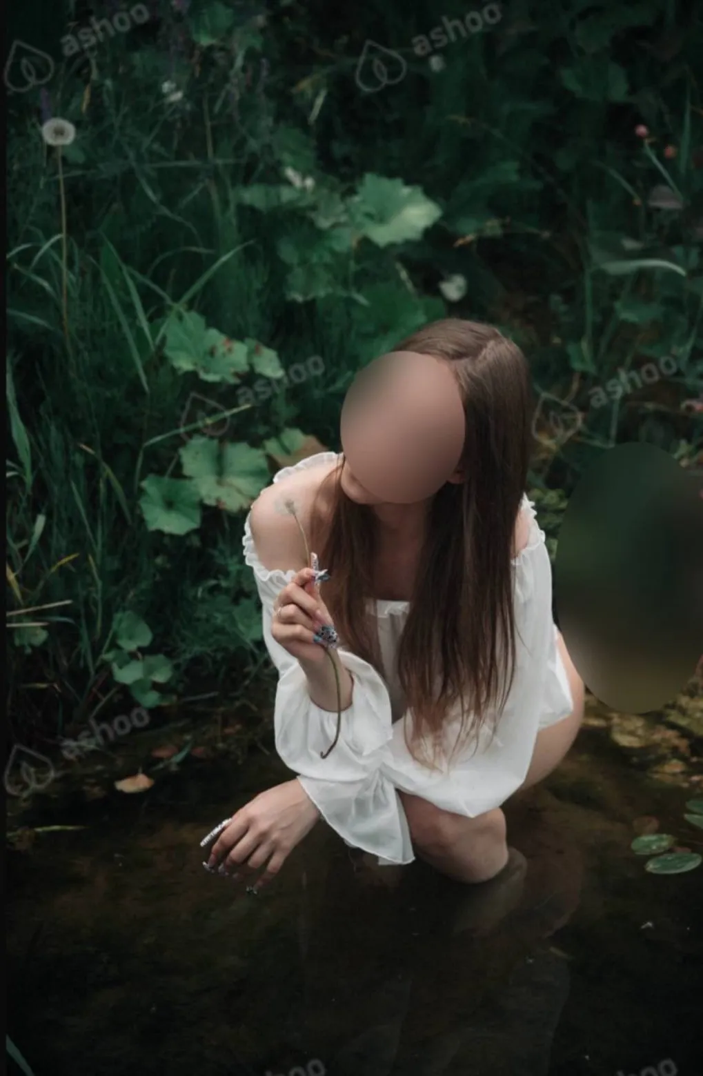 Нэсти 3
