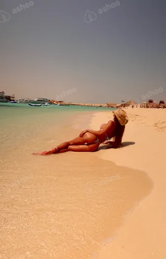 Stella Provocateur